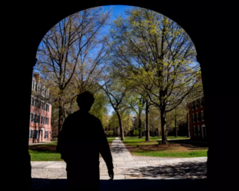 Academics' Ties to Epstein: A Rebuttal to Defensive Narratives