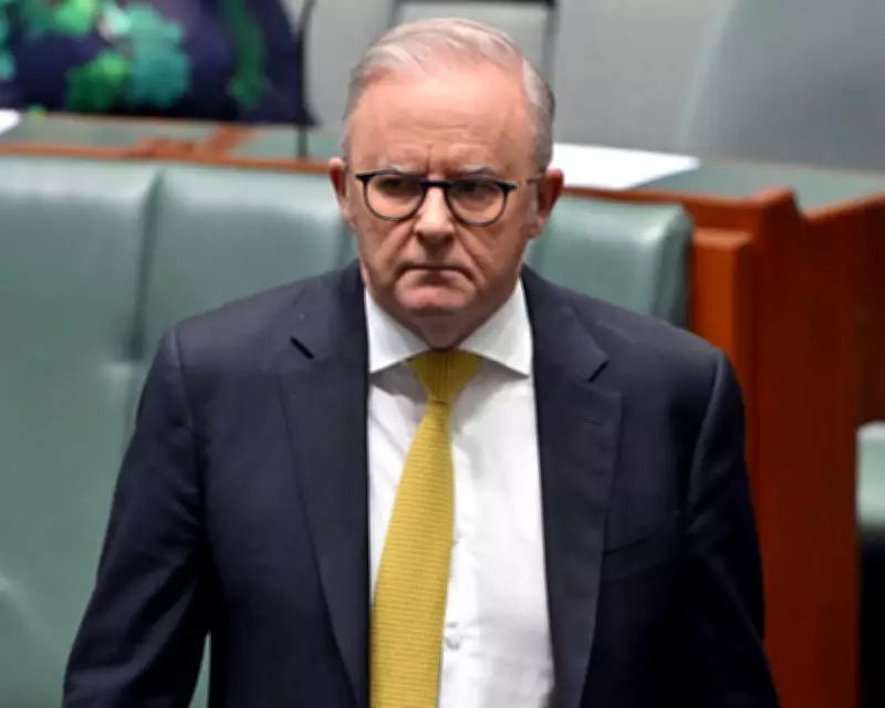 Albanese Demands Transparency Over Aid Worker's Death in Gaza