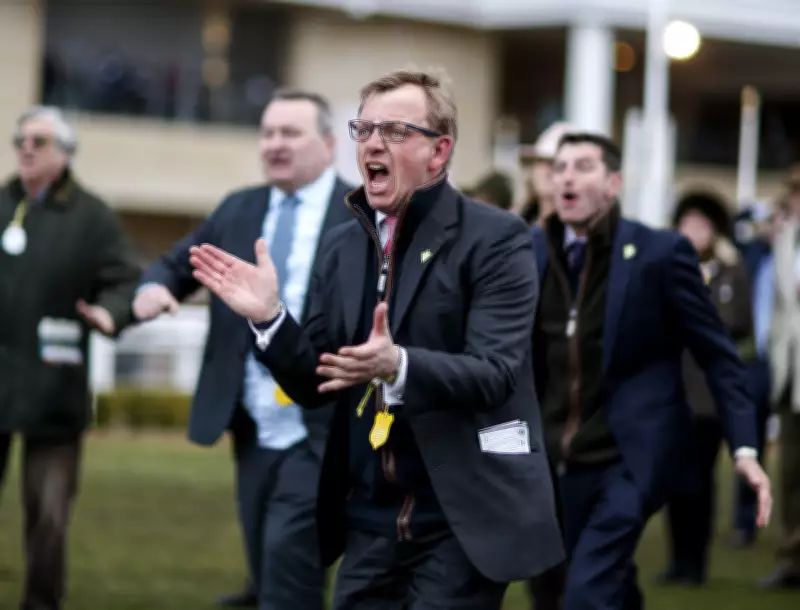 All In You to Show True Couleurs for Greatrex at Newbury's Super Saturday