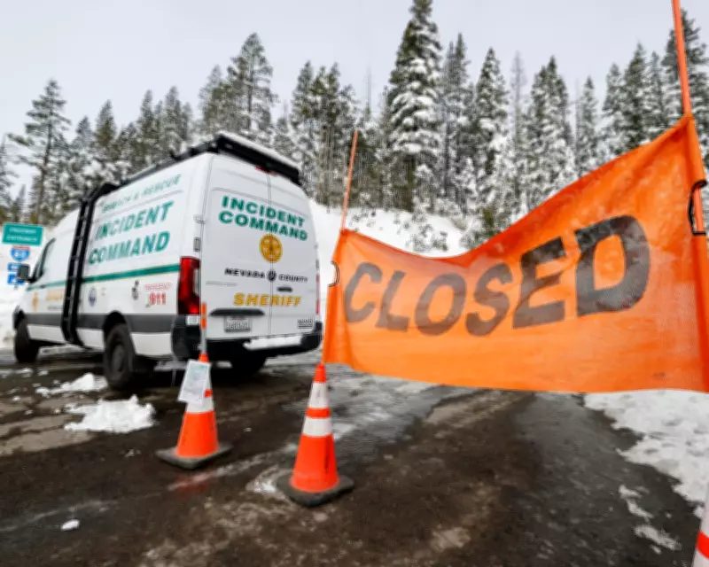 All Nine Bodies Recovered After Deadly California Avalanche Tragedy