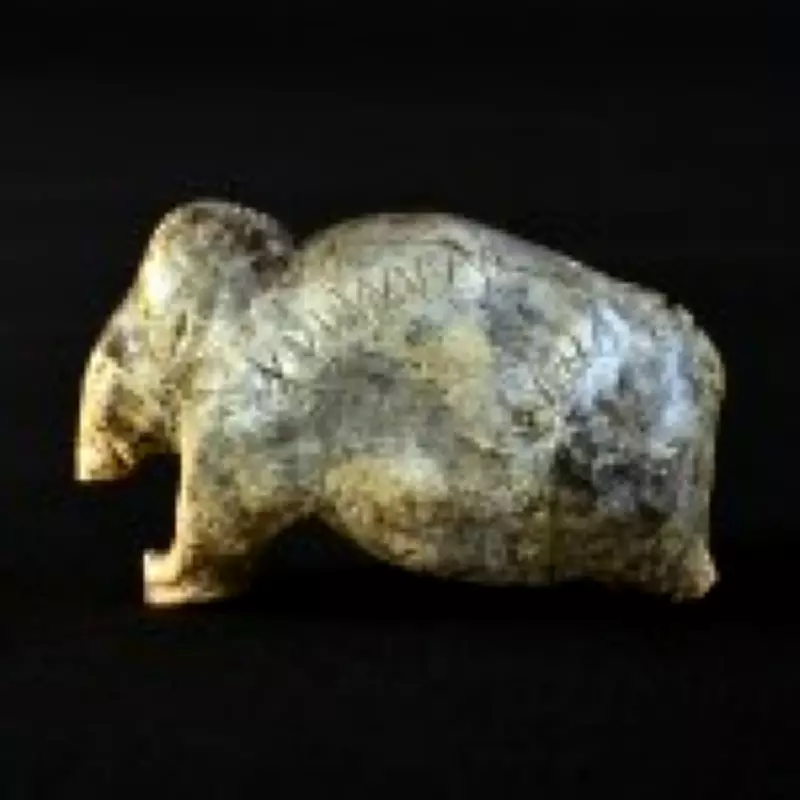 Ancient Engravings Suggest Writing Origins 40,000 Years Earlier Than Believed