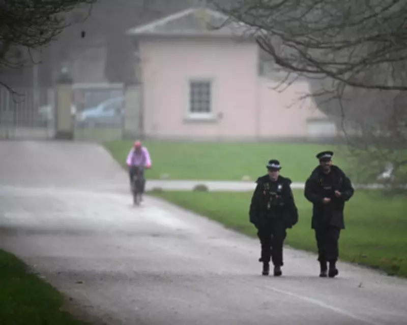 Andrew Mountbatten-Windsor's Succession Sparks Political and Palace Discussions