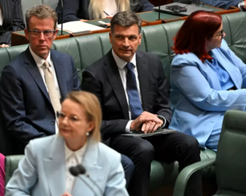 Angus Taylor and Sussan Ley Vie for Liberal Leadership in Australia
