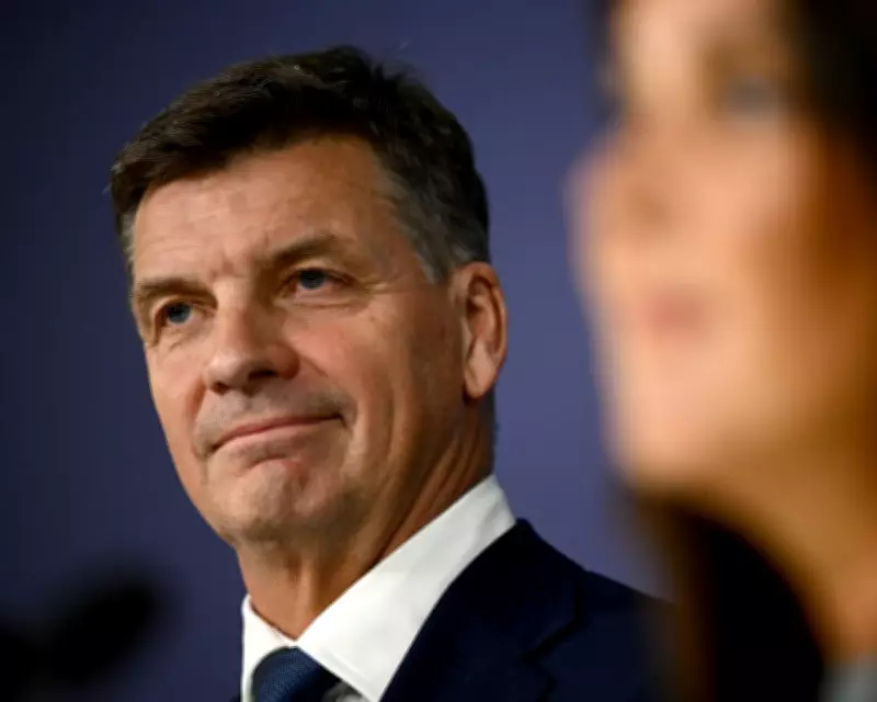 Angus Taylor Leads Shadow Frontbench Battle to Save Liberal Party