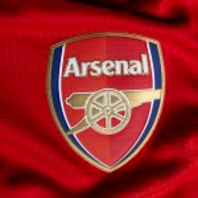 Arsenal Told to Steer Clear of £100m Midfielder Sandro Tonali Amid Transfer Buzz