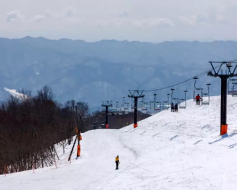 Australian Snowboarder Dies in Tragic Ski Lift Accident at Japanese Resort