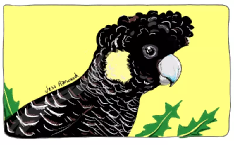 Australian Wildlife Faces Crisis After Scorching Summer, Urgent Action Needed