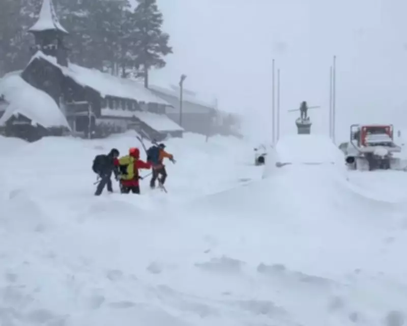 Avalanche in Lake Tahoe Claims Lives of Two Missing Skiers