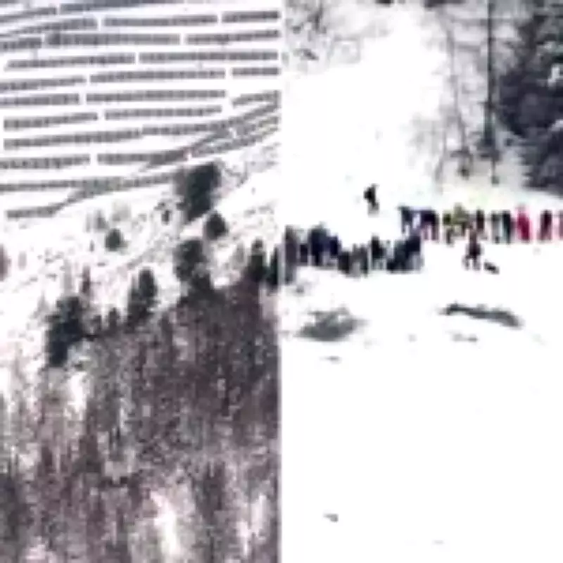 Avalanche Tragedy in Austrian Alps Claims Multiple Lives Amid High Risk Warnings