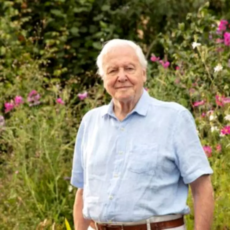 BBC Announces Three New Shows for Sir David Attenborough's 100th Birthday Celebration