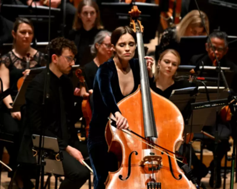 BBC Total Immersion: Icelandic Chill Review at Barbican London