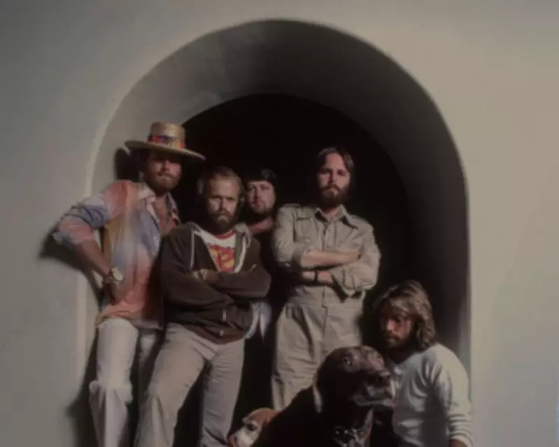 Beach Boys Box Set Reveals Turmoil and Talent in Lost 70s Music Era