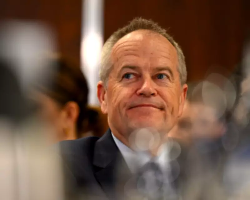 Bill Shorten Probes Forces Behind Steve Bannon's Claim of 2019 Election Interference