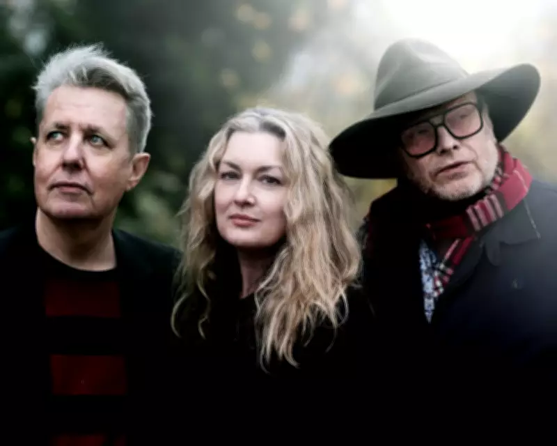 Black Box Recorder Returns: Billie Eilish Sparks Reunion of Cult Band