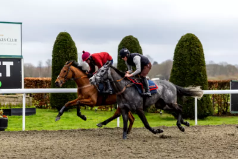 British Trainers Poised to Challenge Irish Dominance at Cheltenham Festival