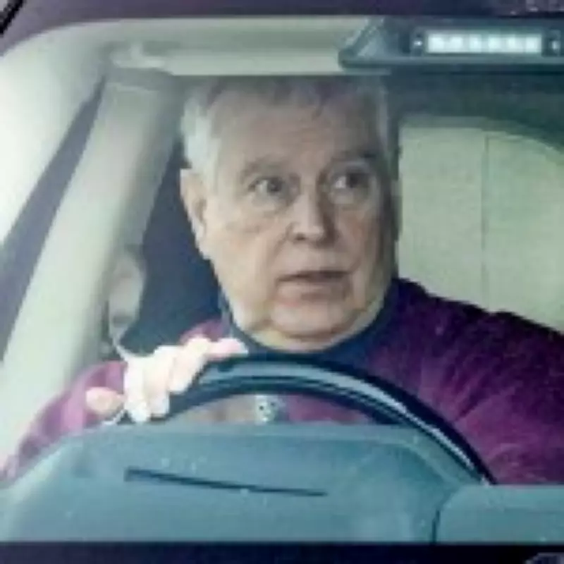 Buckingham Palace Dinner: Epstein Took Romanian Model to Meet Prince Andrew