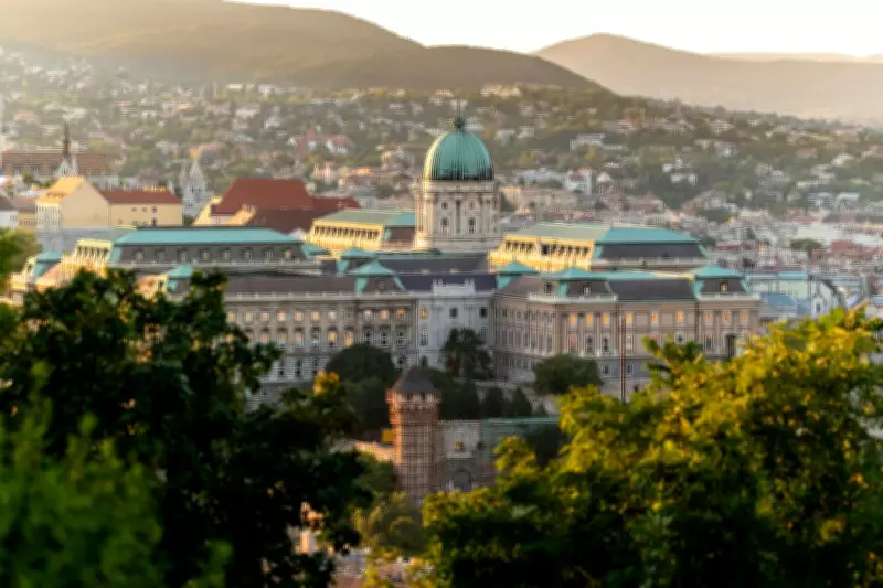 Budapest Design Week Illuminates the City's Cultural Renaissance