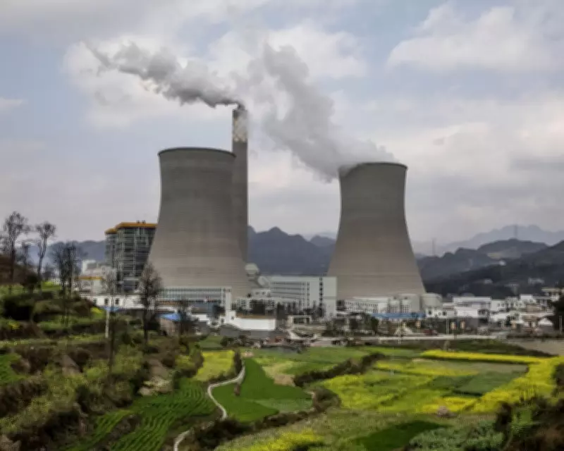 Businesses Urged to Lead in Halting Biodiversity Loss, No Excuse for Inaction