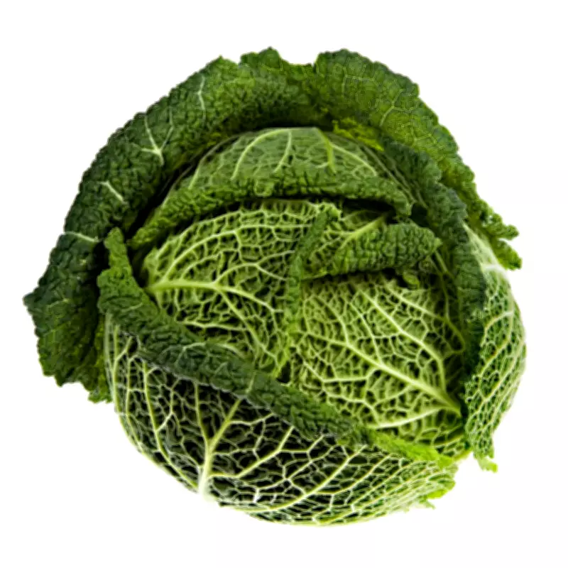 Cabbagecore: The Unlikely Rise of Cabbage as a Fashion and Lifestyle Trend