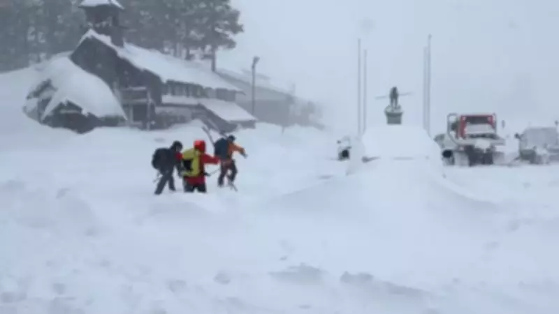 California Avalanche Rescue: Six Skiers Saved, Nine Still Missing in Blizzard