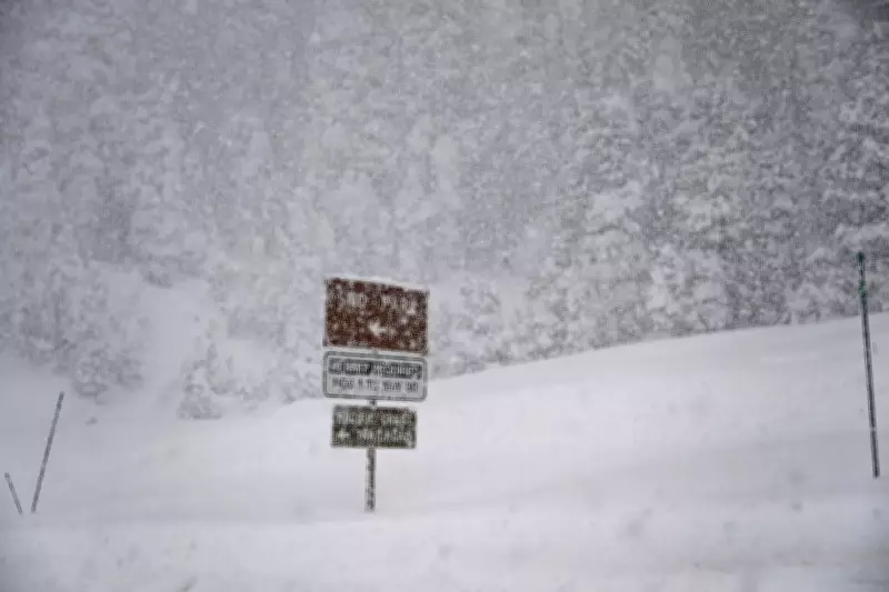 California Avalanche Tragedy: Eight Skiers Found Dead, Search Continues