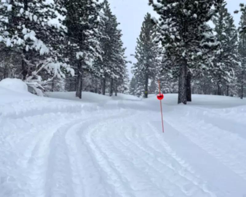 California Avalanche Tragedy: Sierra Nevada's Deadly History Revealed