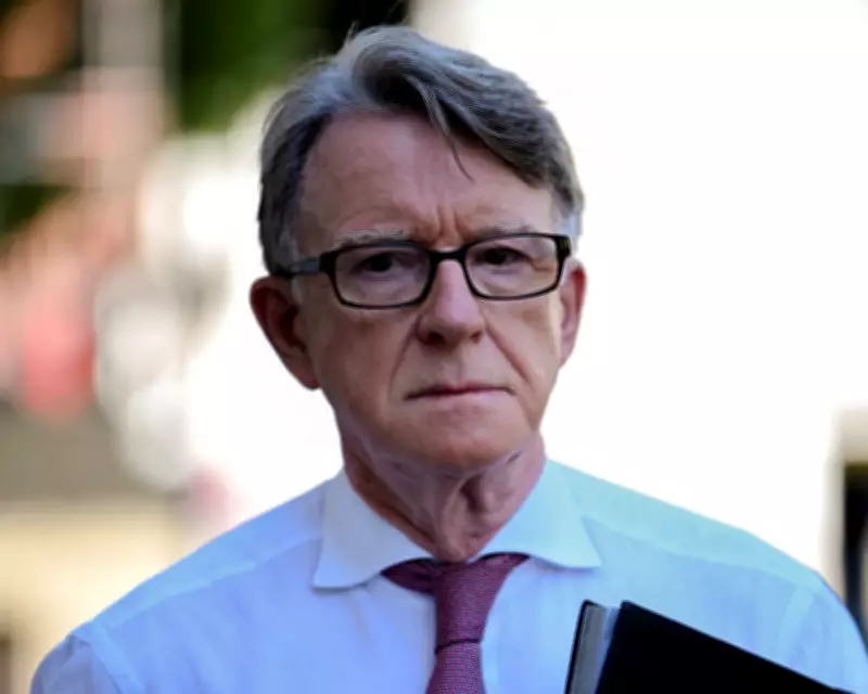 Campaigners Demand Transparency on Mandelson's Palantir Links