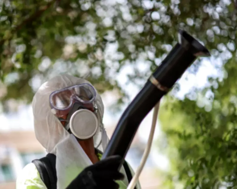 Chikungunya Threat Expands Across Europe as Climate Change Fuels Mosquito Spread