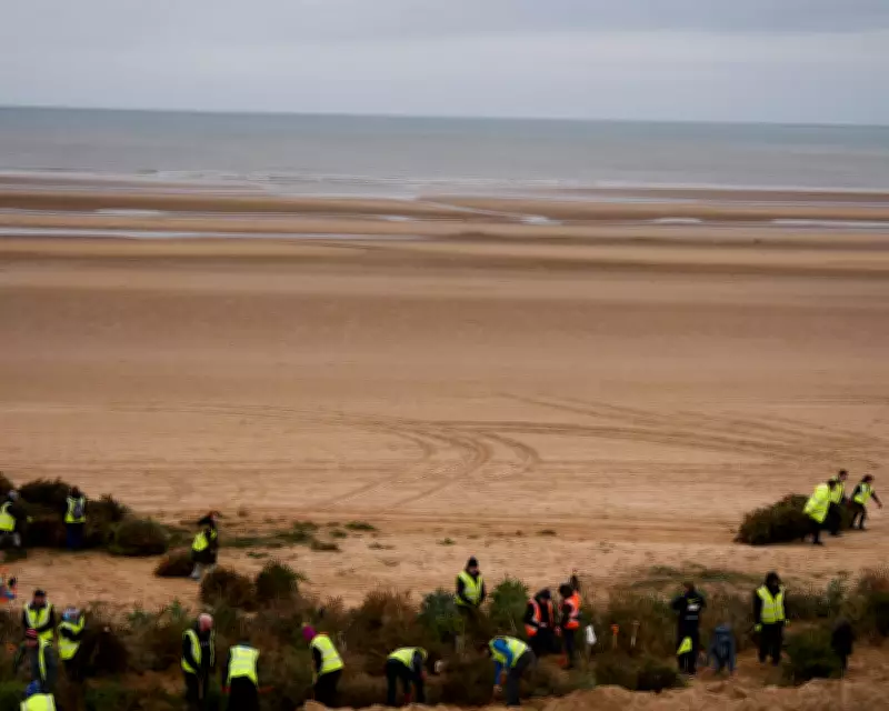 Christmas Trees Transformed into Coastal Defenses on Lancashire Beaches