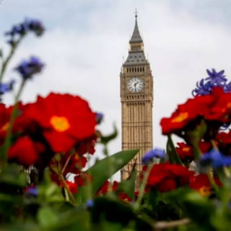 Clocks Spring Forward in 2026: Key Dates and the Four-Minute Daylight Rule
