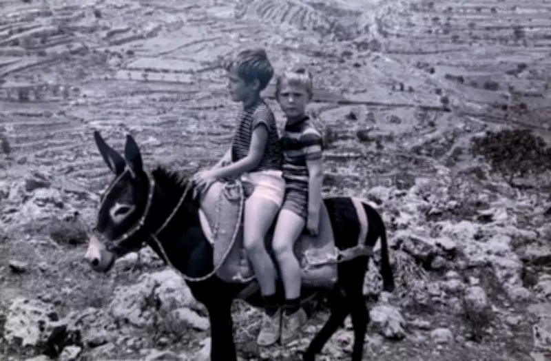 Cocolo the Donkey: An Unforgettable Childhood Pet in Jerusalem