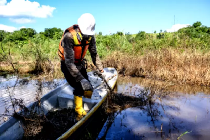 Colombian Wetlands Devastated by Oil Spills and Armed Conflict