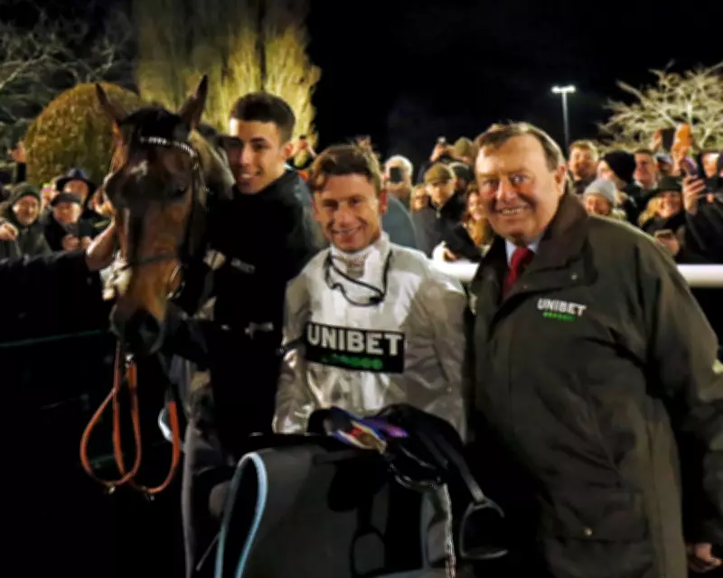 Constitution Hill May Transition to Flat Racing Full-Time After Stellar Debut