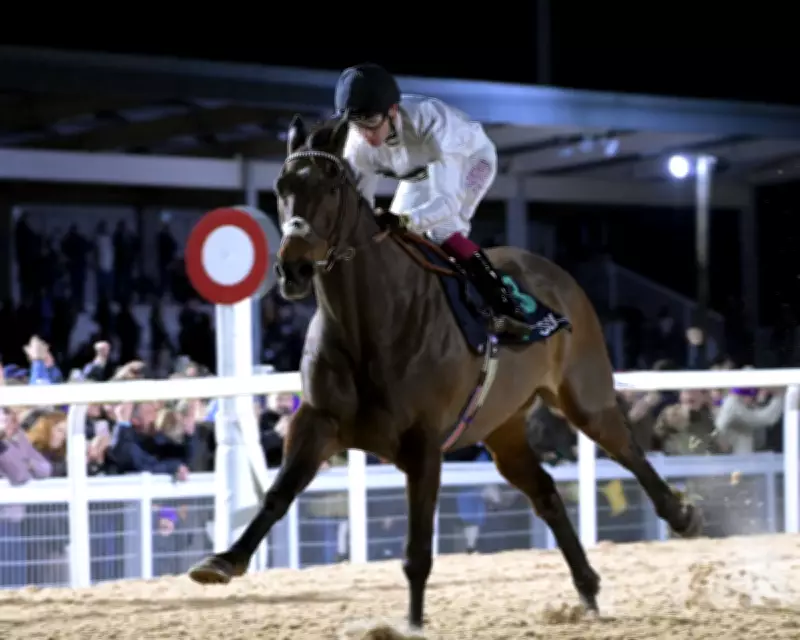 Constitution Hill's Southwell Victory Signals Brighter Future for Horse Racing