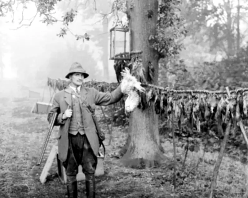 Country Diary 1926: The Keeper's Dilemma on Weasels and Stoats