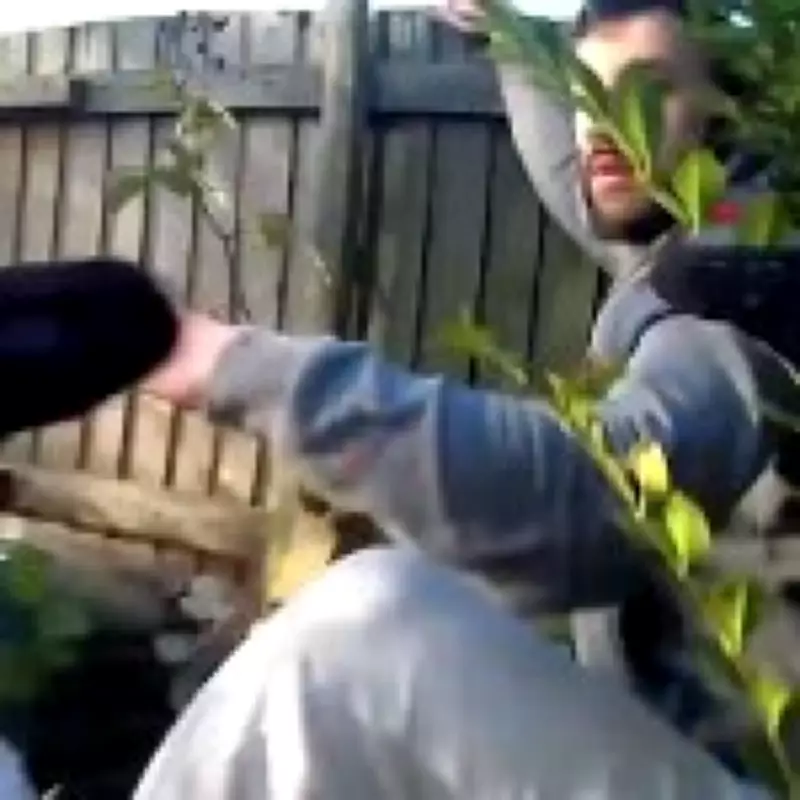 Deported Albanian Criminal Returns to UK, Sets Up £200k Cannabis Farm