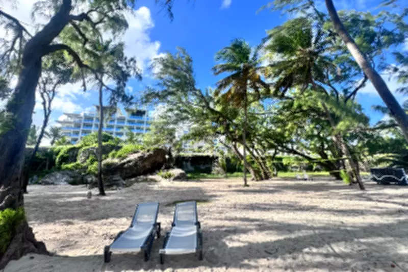 Discover the Authentic Side of Barbados: Liming with Locals at Sam Lord's