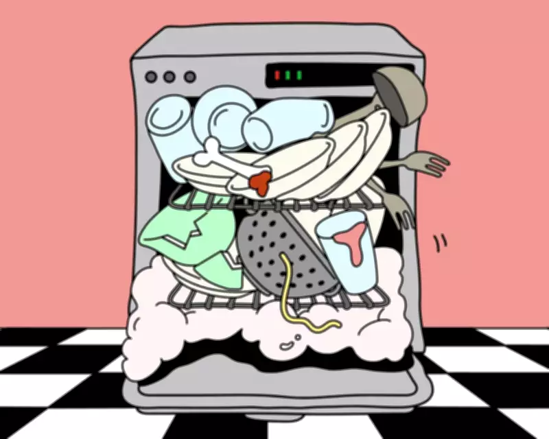 Dishwasher Debate: Is There a Right Way to Load or Just Preferences?