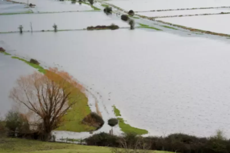 Dutch Experts Urge UK to End Flood Cycle with Netherlands' Proven Methods
