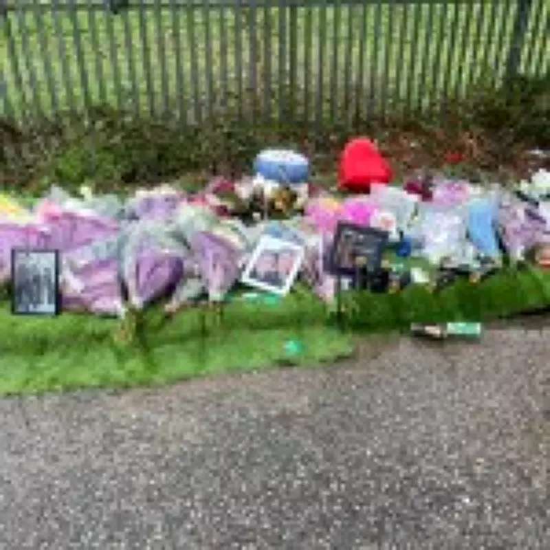 E-Bike Rider Killed in Horse and Cart Collision on 'Wild West' Chingford Lane