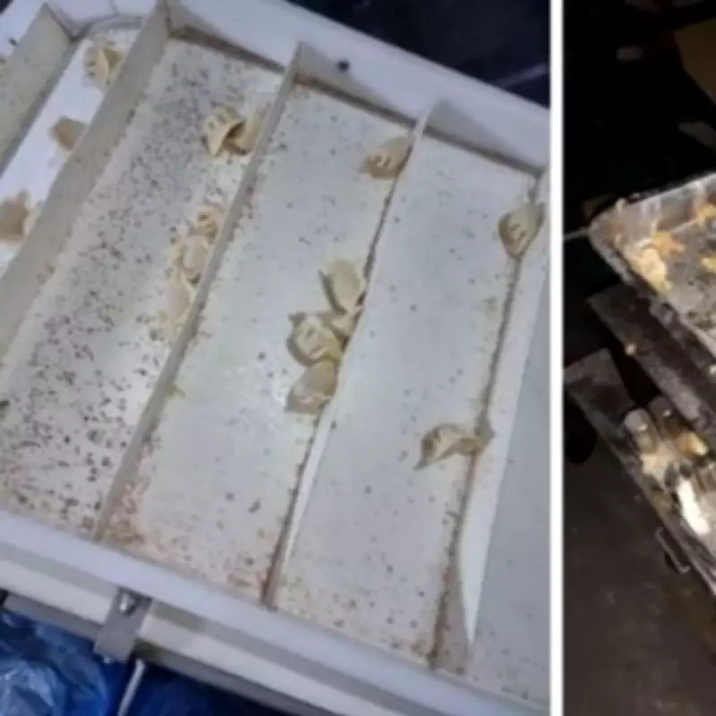 Ealing Dumpling Firm Fined £78k for Mould and Construction Dust Violations