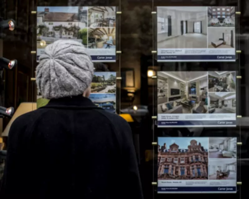 Economist Predicts Stable UK Housing Market in 2026, No Boom or Crash Expected