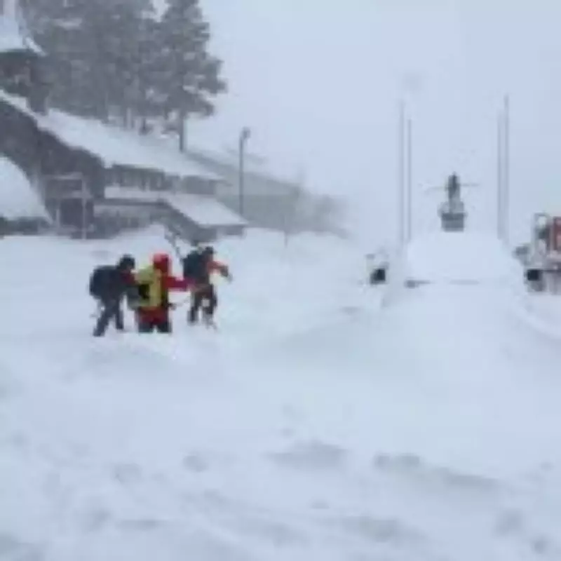 Eight Skiers Killed in California Avalanche, Search Continues for Missing