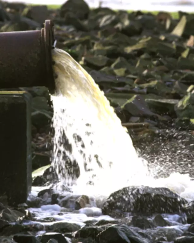 English Water Firms Face 1,200 Pollution Convictions, Yet No CEOs Charged