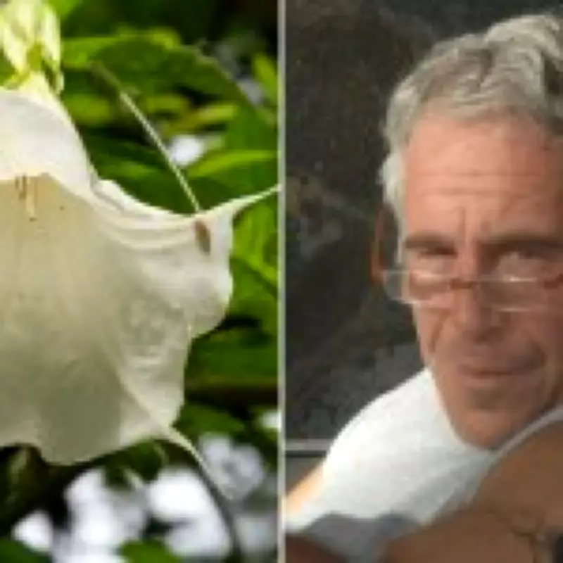 Epstein's Chilling Fascination with Toxic 'Angel's Trumpet' Zombie Plant Revealed