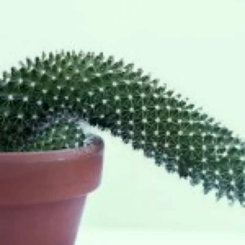 Erectile Dysfunction: When to See a Doctor and How to Strengthen Erections