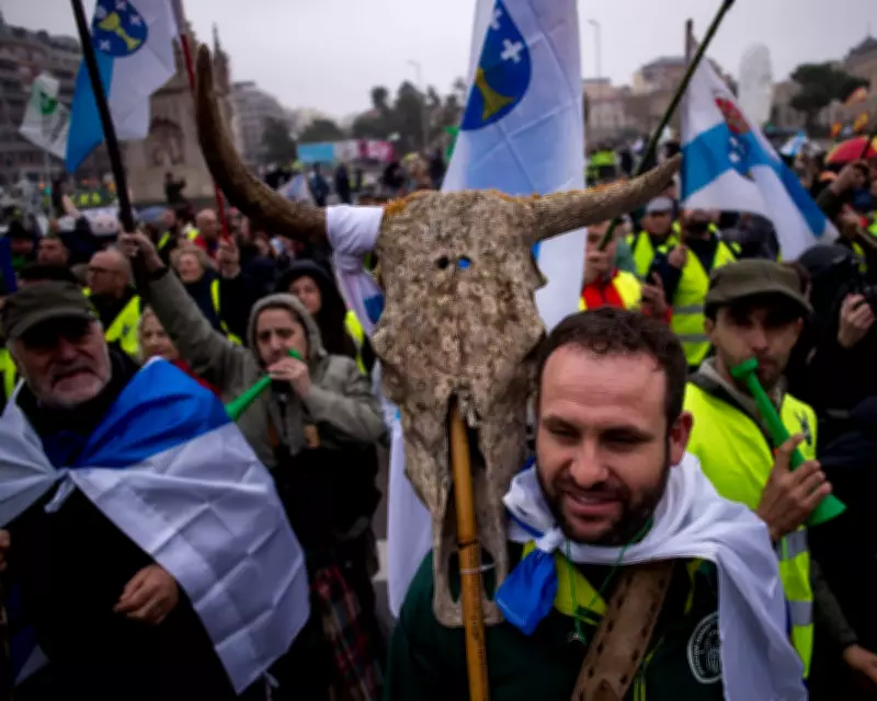 EU Subsidy Shift: Study Urges Move from Beef and Lamb to Legumes