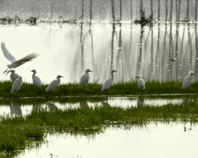 Europe Braces for Spring Heatwave While US Faces Nor'easter Blizzards