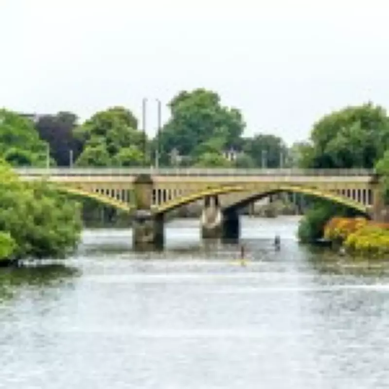 Father Avoids Prison After Drunkenly Throwing Daughter's Kittens into Thames