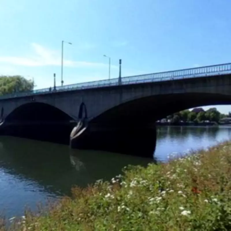 Father Spared Jail After Drunkenly Throwing Daughter's Kittens into Thames